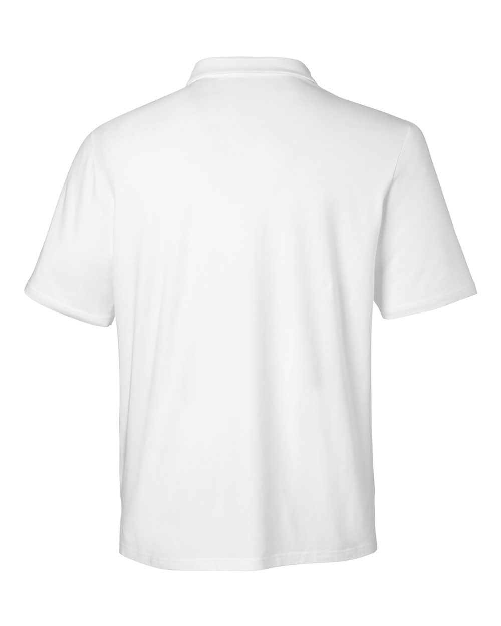 Back view