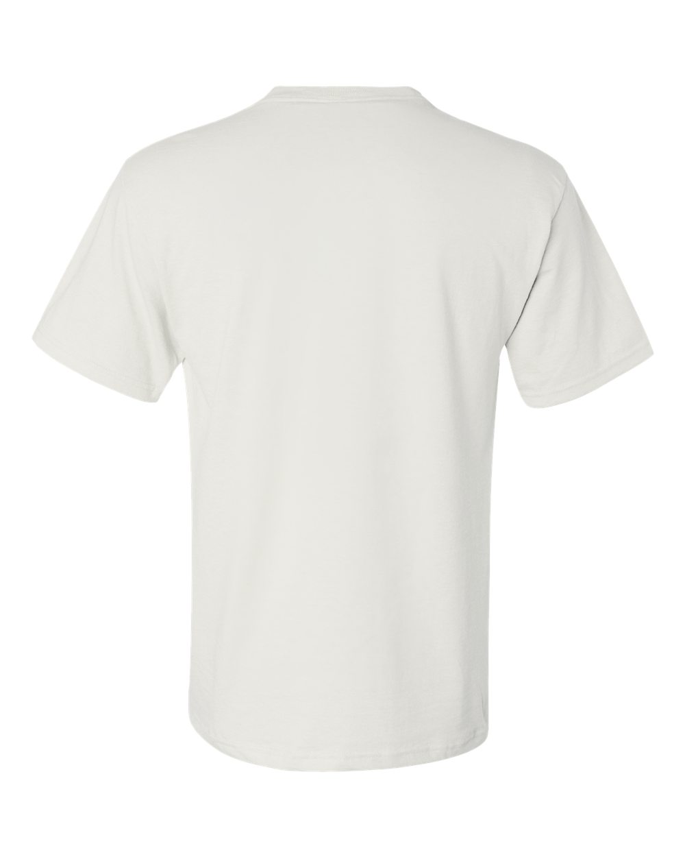 Back view