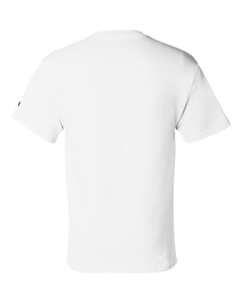 Back view