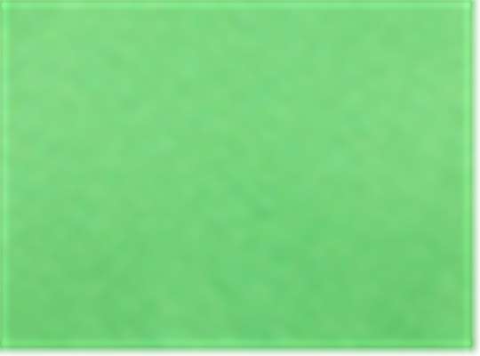 Vivid Lime