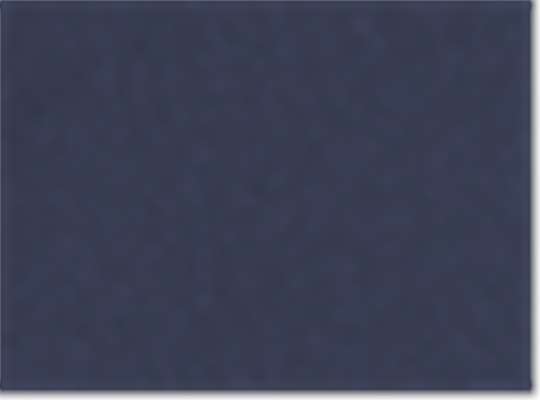 Classic Navy