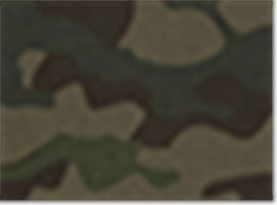 Forest Camo