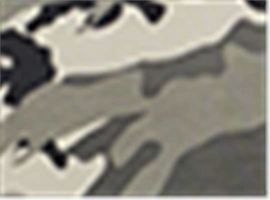 Snow Camo