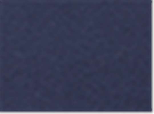 Fine Navy