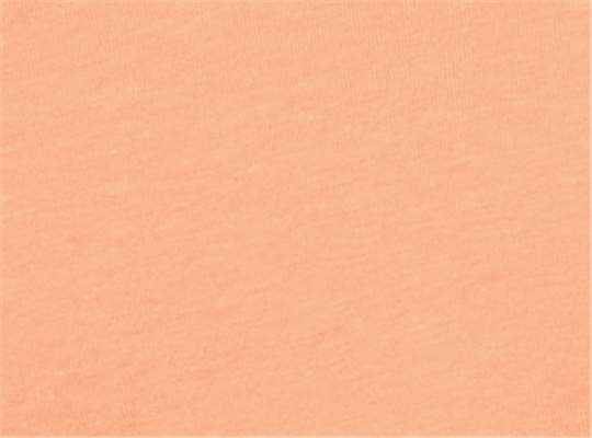 Cantaloupe