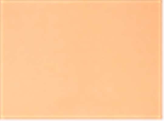 Neon Cantaloupe