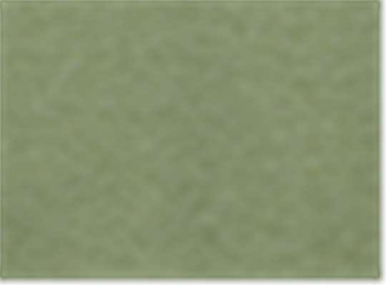 Tri-Olive