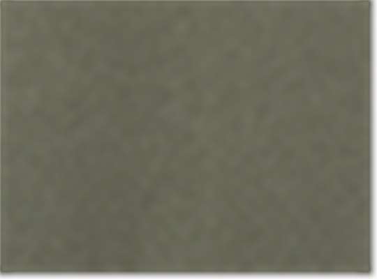 Lieutenant