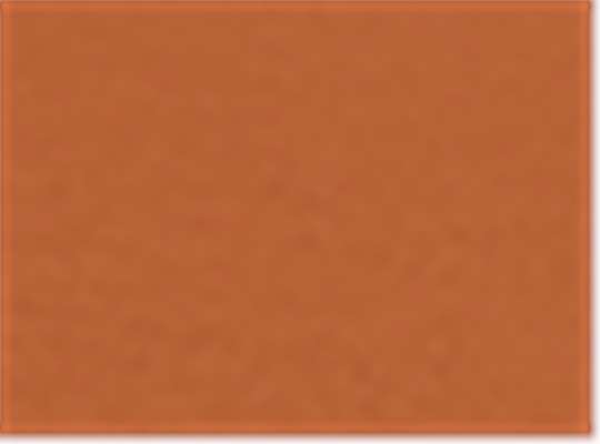 Texas Orange