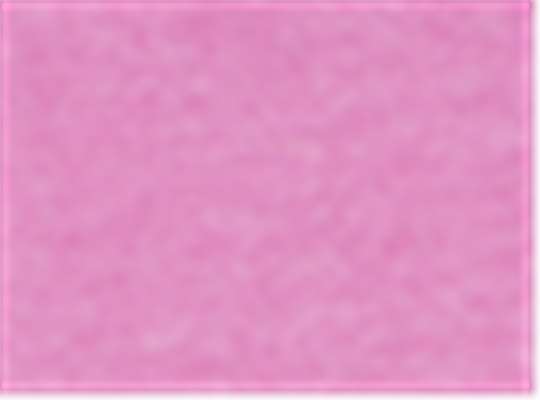 Heather Radiant Orchid