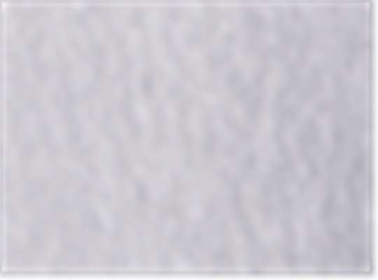 Silver Grey