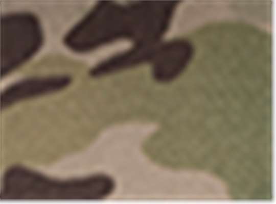 Multicam Green