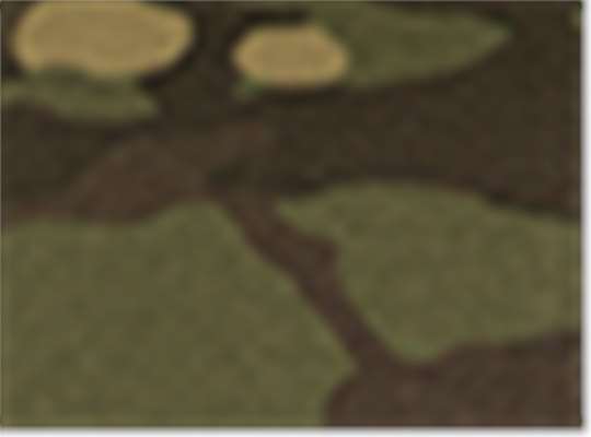 Multicam Tropic