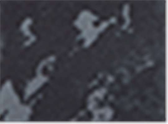 Poseidon Black
