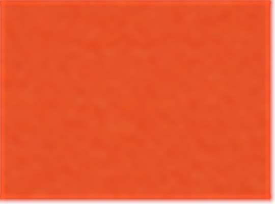 Burnt Orange