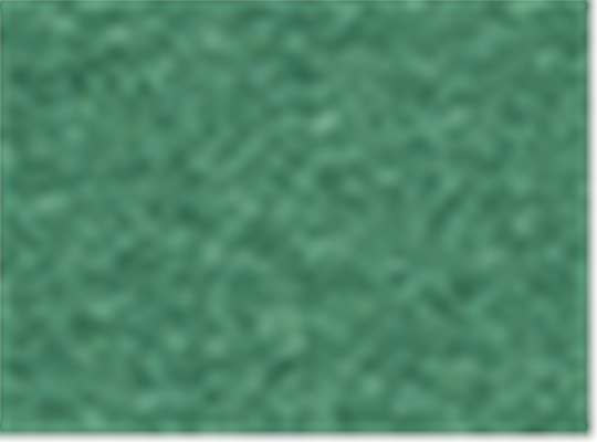 Heather Kelly Green