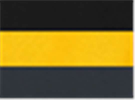 Black/ Sunray Yellow/ Dark Charcoal