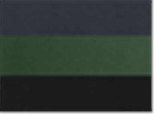 Dark Charcoal/ Dark Green/ Black