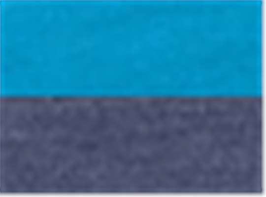 Electric Blue/ Classic Navy Heather