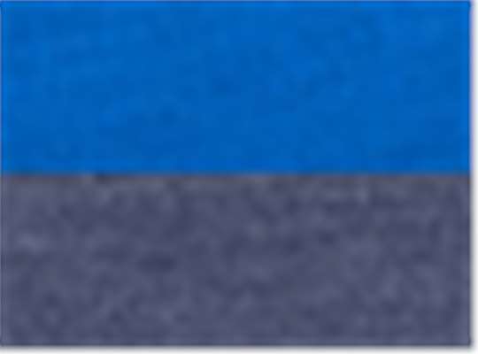 True Royal/ Classic Navy Heather
