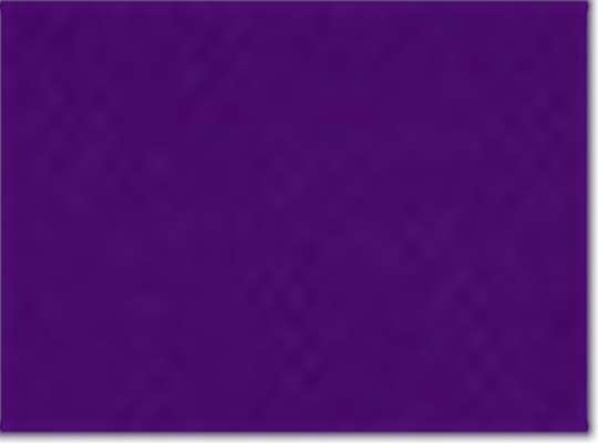 Campus Purple