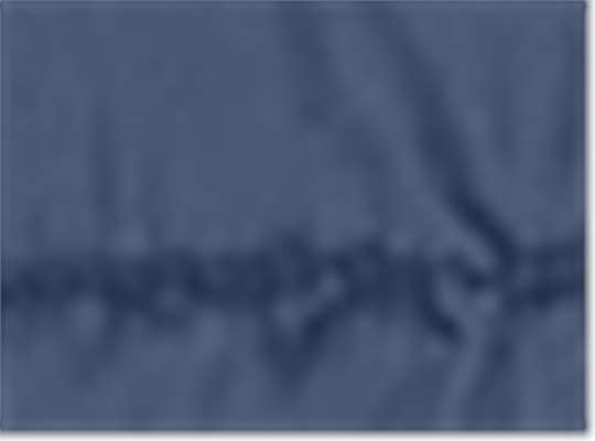 Classic Navy