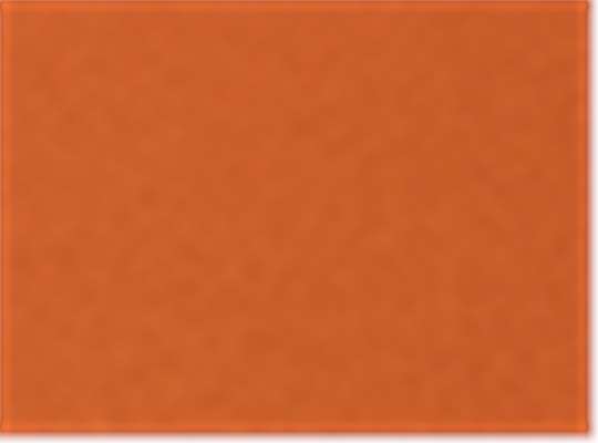 Sport Burnt Orange