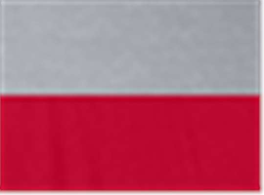 Athletic Heather/ Sport Red