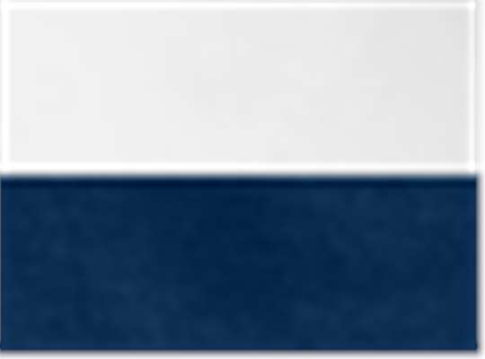 White/ Sport Dark Navy Heather