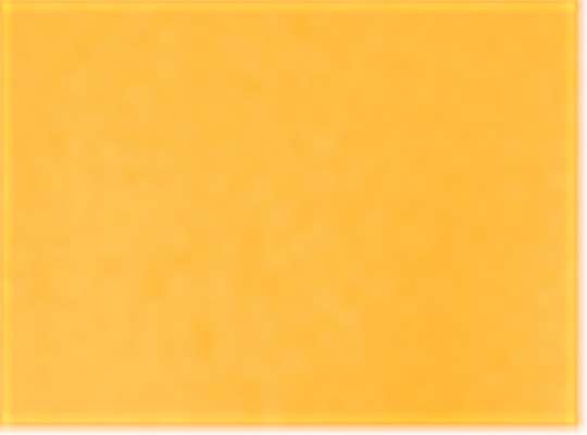 Sport Athletic Gold