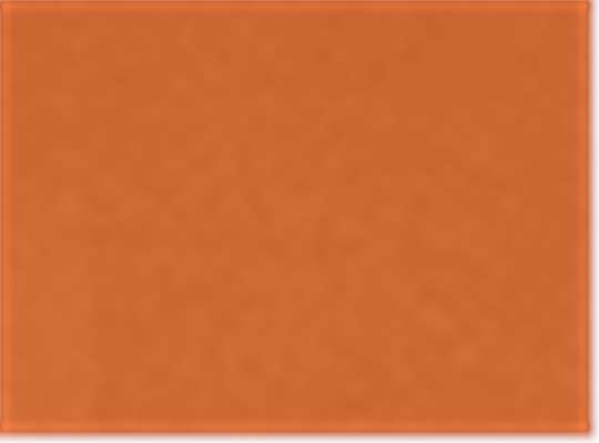 Sport Burnt Orange