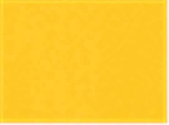 Sport Athletic Gold