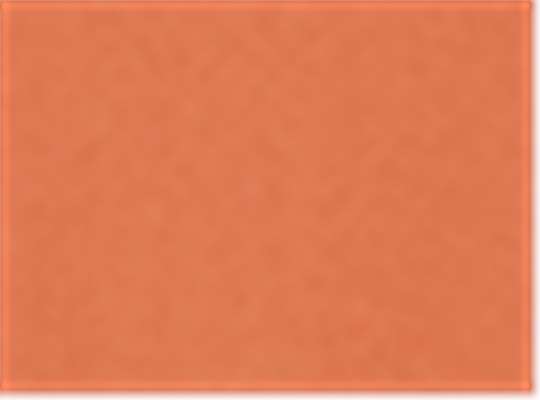 Sport Burnt Orange