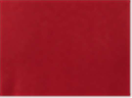 Canvas Red